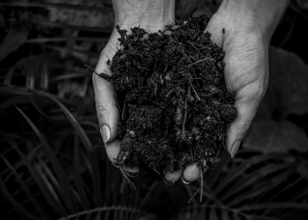 amendements compost