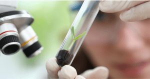 Hebal medicine extract research concept