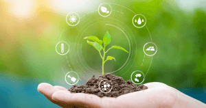 Nutriments_sol_et_plantes