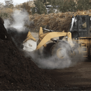 Compost de déchet vert
